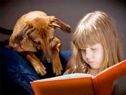 ‘Voorleeshonden’ helpen kinderen beter te lezen